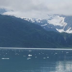 Meet your Posher, Joy